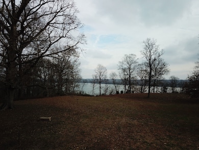 602 S Raum Park Dr, Golconda, IL 62938 - photo 3