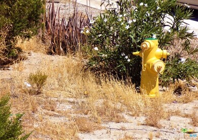 270 E Via Corto, Desert Hot Springs, CA 92240 - photo 3