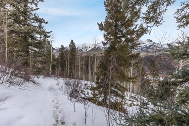 259 Adams Ranch Rd unit 40, Telluride, CO 81435 - photo 4