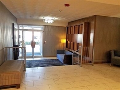 Hammond Park Condominiums unit 306, Chestnut Hill, MA 02467 - photo 7