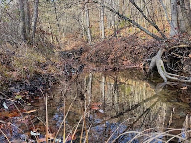 Threemile Creek Rd Lot unit Wp001, Louisa, KY 41230 - photo 7