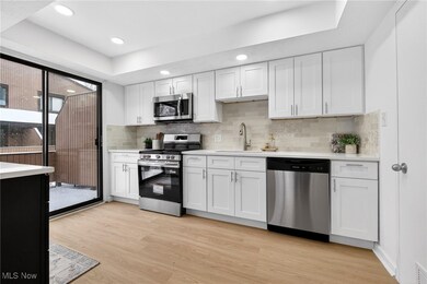 26645 Lake of the Falls Blvd, Olmsted Falls, OH 44138 - photo 7