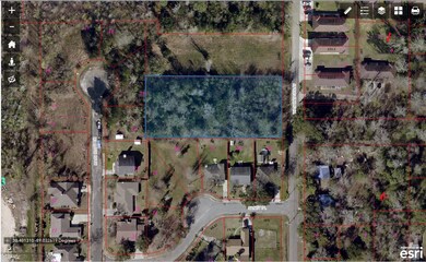 Screen Shot 2019-06-12 at 2.41.02 PM