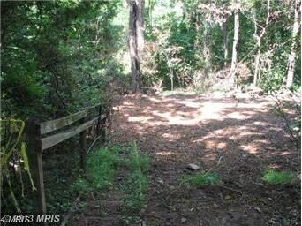 518 Bragg Dr, Front Royal, VA 22630 - photo 3