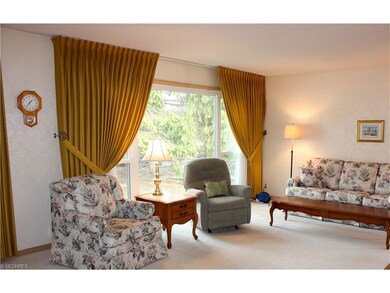 NEWER PICTURE WINDOW IN LIVING ROOM.....NEUTRAL CO