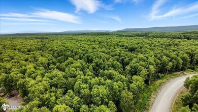 04-DJI_20250630080322_0389_D