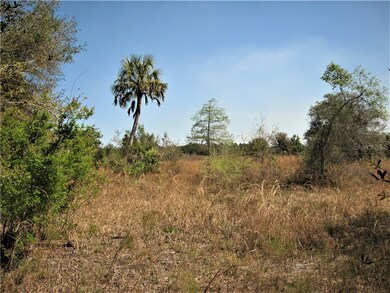 Grasses and bush and cypress tree in background.