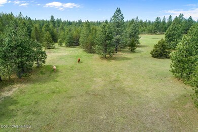 NNA E Forest View Rd, Athol, ID 83801 - photo 4