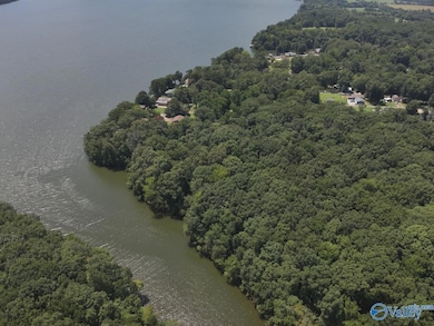 49.59 +/- Acres Snake Rd, Athens, AL 35611 - photo 3