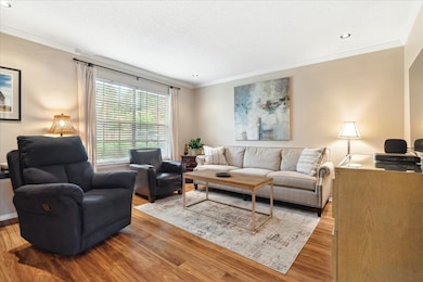Living room featuring crown molding, light hardwood / wood-style flooring, and a textured ceiling