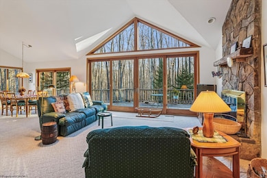 96 Sunfish Ct, Davis, WV 26260 - photo 2