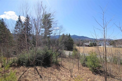 6 Lost Pass Rd unit 37B, Waterville Valley, NH 03215 - photo 3