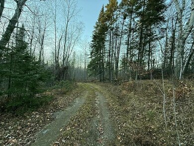 24965 Hammock Trail, Park Rapids, MN 56470 - photo 4