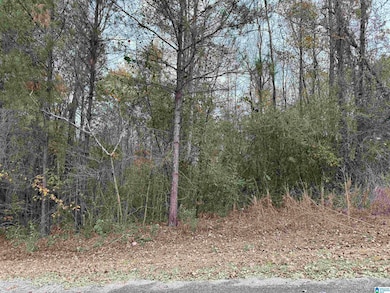 1 Springs Cove Rd, Warrior, AL 35180 - photo 3