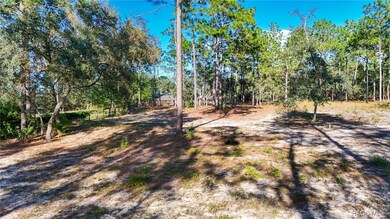 4256 N Amarillo Dr, Beverly Hills, FL 34465 - photo 2