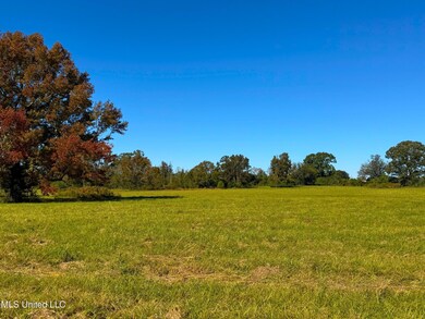 0 Emma Kelly unit 4132130, Magnolia, MS 39652 - photo 7