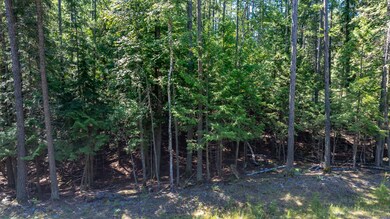 Nhn Big Mountain Rd, Whitefish, MT 59937 - photo 6