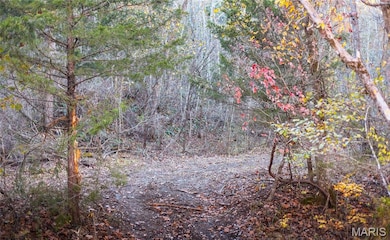 875 Walnut St, Newburg, MO 65550 - photo 4