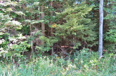 00 Route 100 S, Ludlow, VT 05149 - photo 2