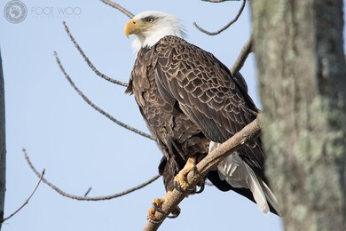 #26 Riverview Dr, Lackawaxen Township, PA 18435 - photo 4