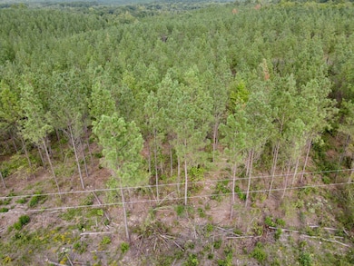 16 Three Waters Dr, Honobia, OK 74957 - photo 4