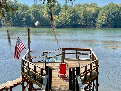 940 McNatt Falls Rd, Uvalda, GA 30473 - photo 4