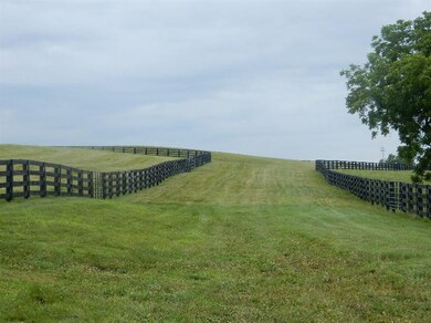 1084 Hifner Rd, Versailles, KY 40383 - photo 4