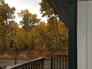 Fall foliage