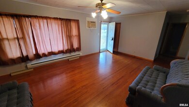 2234 Red Stripe Rd, Odin, IL 62870 - photo 4