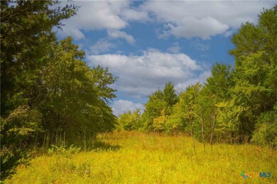 5115 N State Highway 6, Hearne, TX 77859 - photo 4