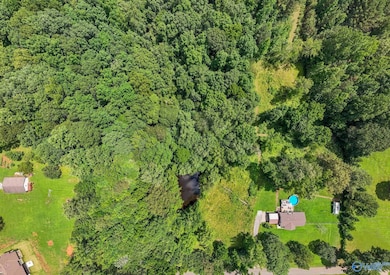 12368 Hickory Hills Rd, Athens, AL 35614 - photo 3