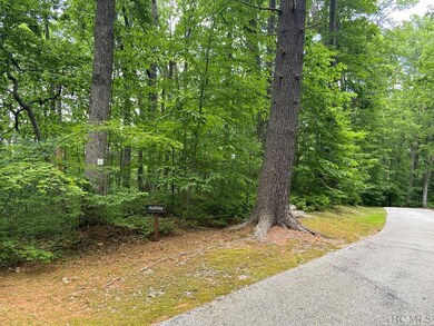 Lot 4 Parkview Ln, Cullowhee, NC 28723 - photo 7