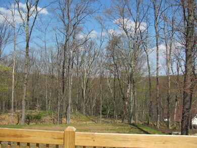 203 Rodeo Dr, Blooming Grove Township, PA 18428 - photo 7