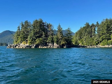 0 Legal Address Only unit Iffish Island 25307, Sitka, AK 99835 - photo 2