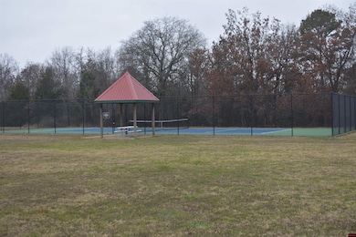 010-11219-038 Swiss Alps Ln, Briarcliff, AR 72653 - photo 7