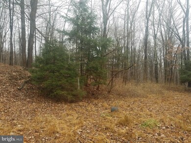 295 Cold Run Valley Rd, Berkeley Springs, WV 25411 - photo 5