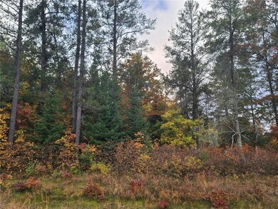 30109 Minerva Dam Rd, Danbury, WI 54830 - photo 3