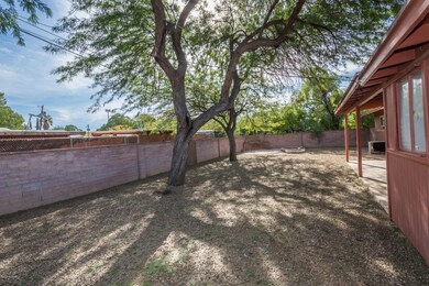 backyard-2