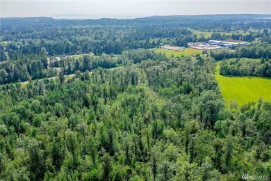 0 Loomis Trail Rd unit 1466583, Blaine, WA 98230 - photo 4