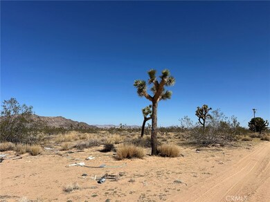 58638 Cubero Rd, Landers, CA 92285 - photo 4