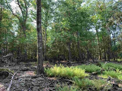 Lot 1 TBD Cherry Hill Rd, Stone Ridge, NY 12484 - photo 7