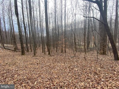 0 Lost Lakeview Rd unit VAMA2000968, Madison, VA 22727 - photo 3