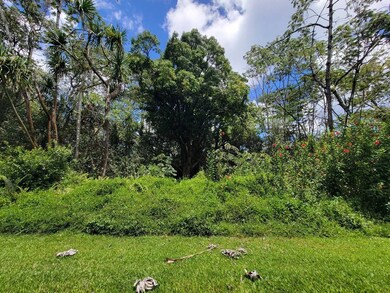 0 S Nenue St unit 725900, Pahoa, HI 96778 - photo 5