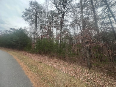 2851 Lindsay Dr, Elliston, VA 24087 - photo 3