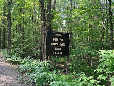 0 Bullock's Crossing unit 499-3, Grafton, NH 03240 - photo 5