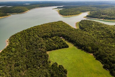 355 m/l ac Bull Shoals Frontage