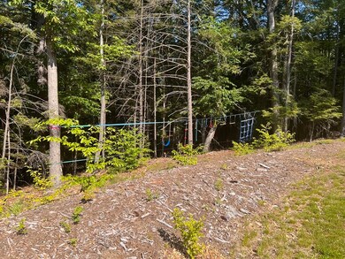 543 Williamsburg Rd, Conway, MA - photo 5