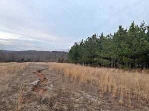 0 Lot 11 Nc 1502 unit H141177, Compton, AR 72624 - photo 2