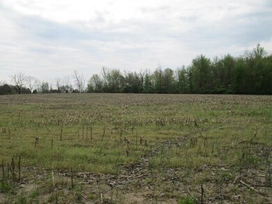 V/L Holden Rd, Glendora, MI 49107 - photo 5