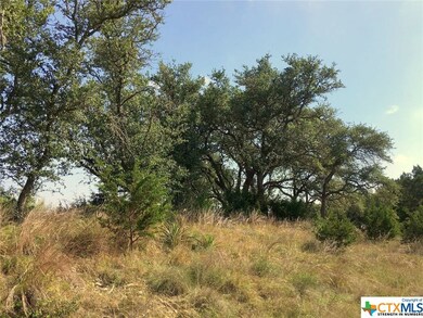 631 Angelica Vista, Canyon Lake, TX 78133 - photo 6